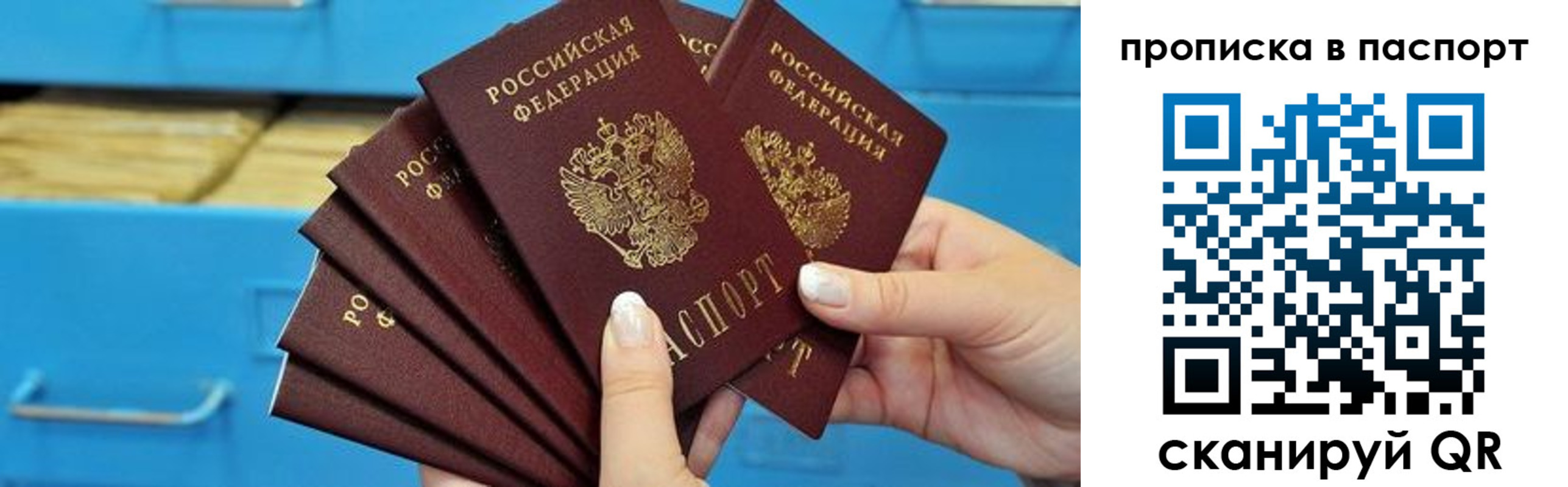найти адрес прописки в Вязьме
